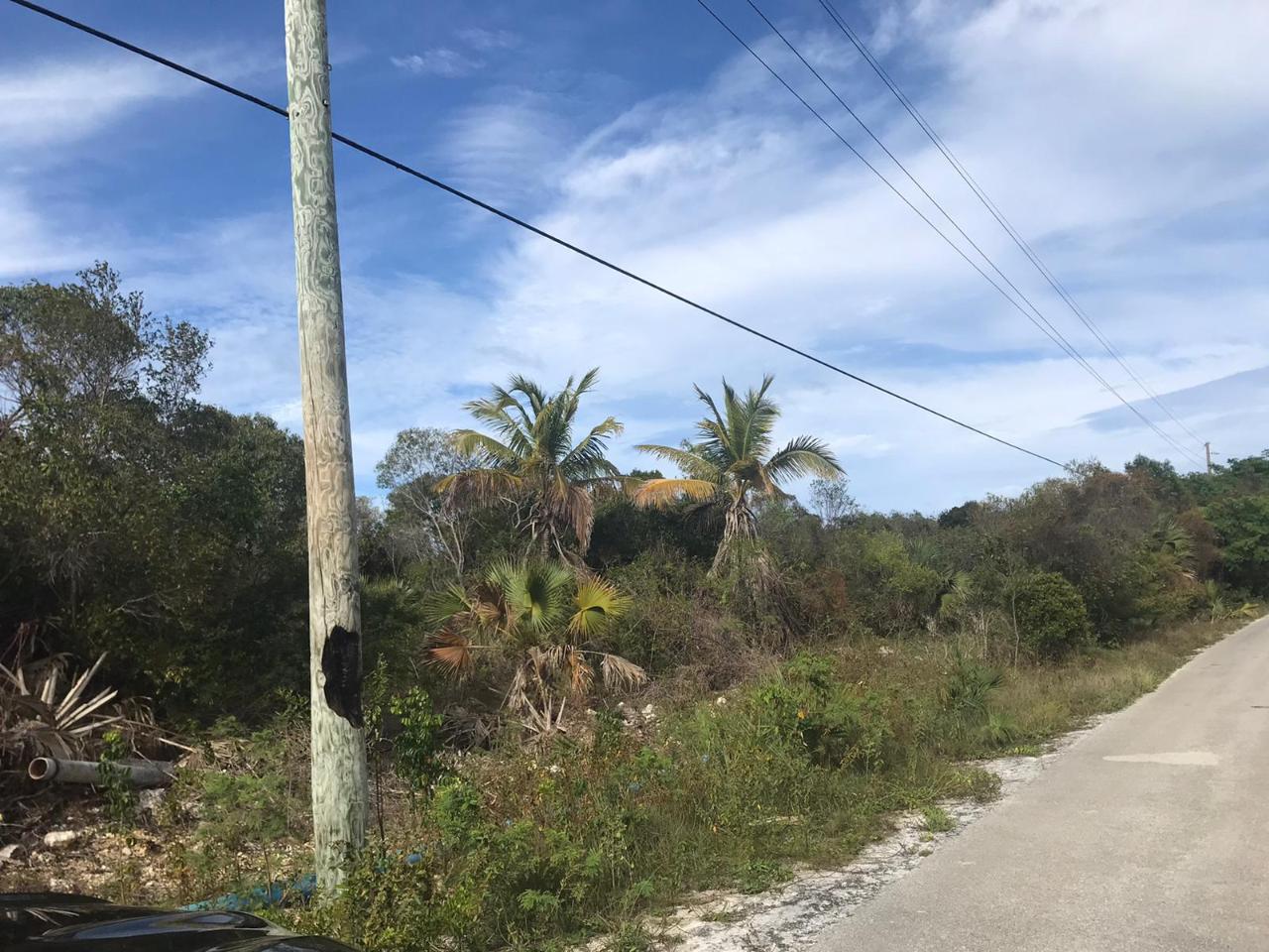 /listing-lots-acreage-in-tarpum-bay-67280.html from Coldwell Banker Bahamas Real Estate