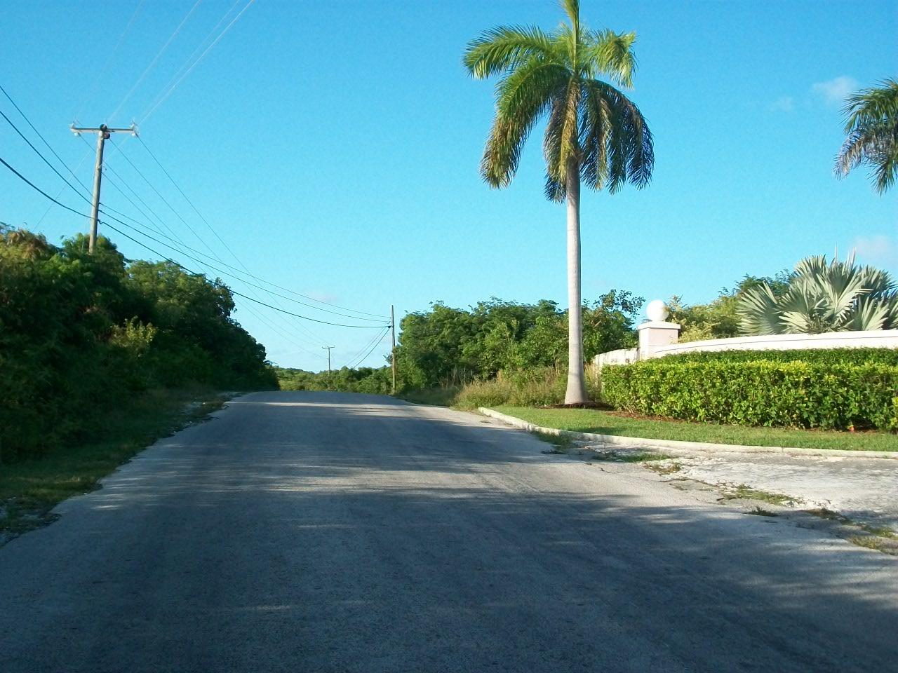/listing-lots-acreage-in-moss-town-41869.html from Coldwell Banker Bahamas Real Estate