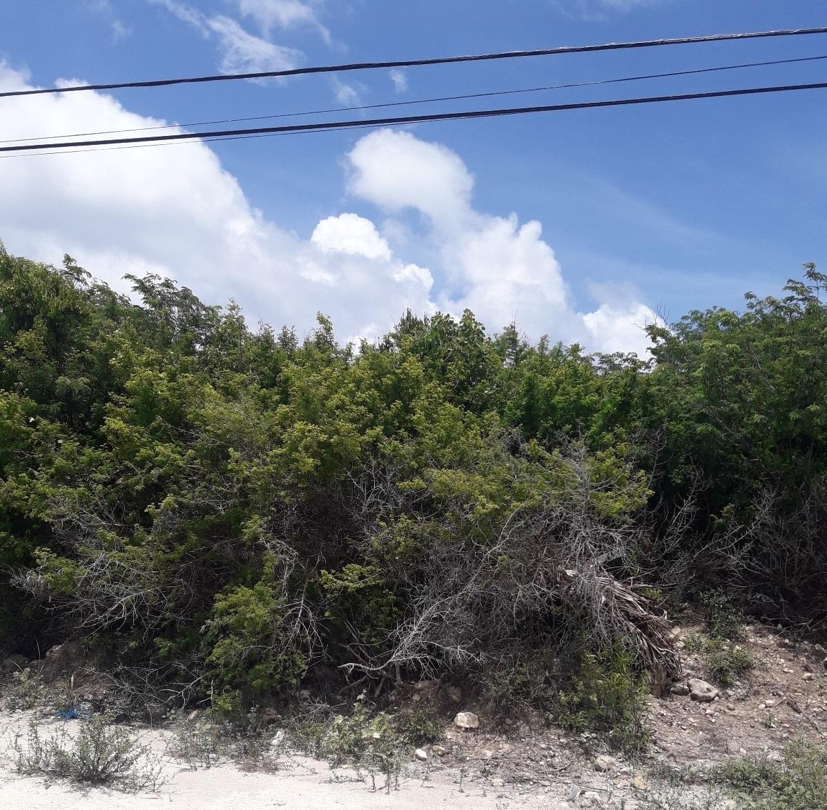 /listing-lots-acreage-in-columbus-landings-41874.html from Coldwell Banker Bahamas Real Estate