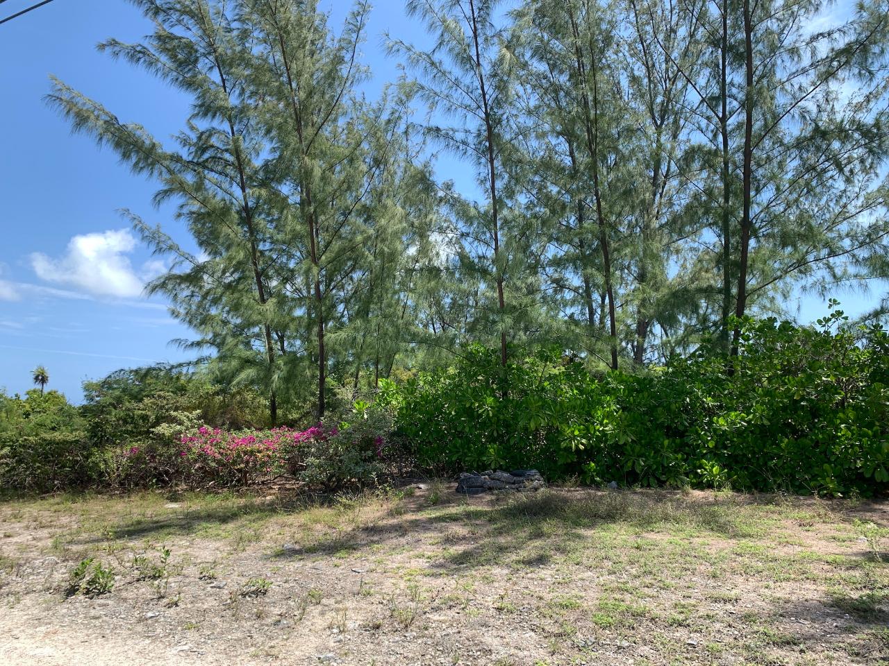 /listing-lots-acreage-in-cape-santa-maria-42398.html from Coldwell Banker Bahamas Real Estate