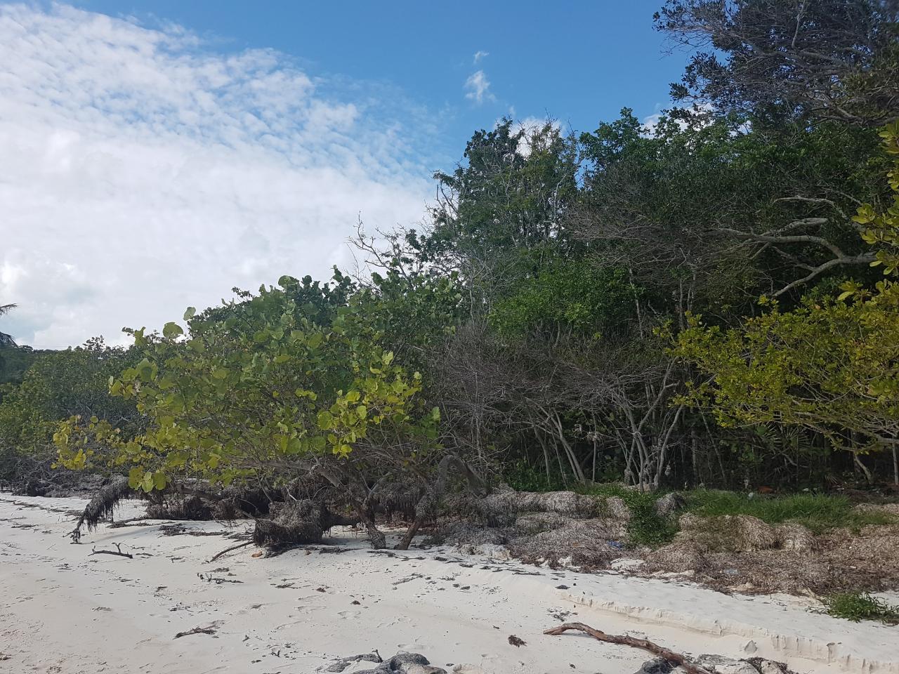/listing-lots-acreage-in-great-harbour-cay-42308.html from Coldwell Banker Bahamas Real Estate