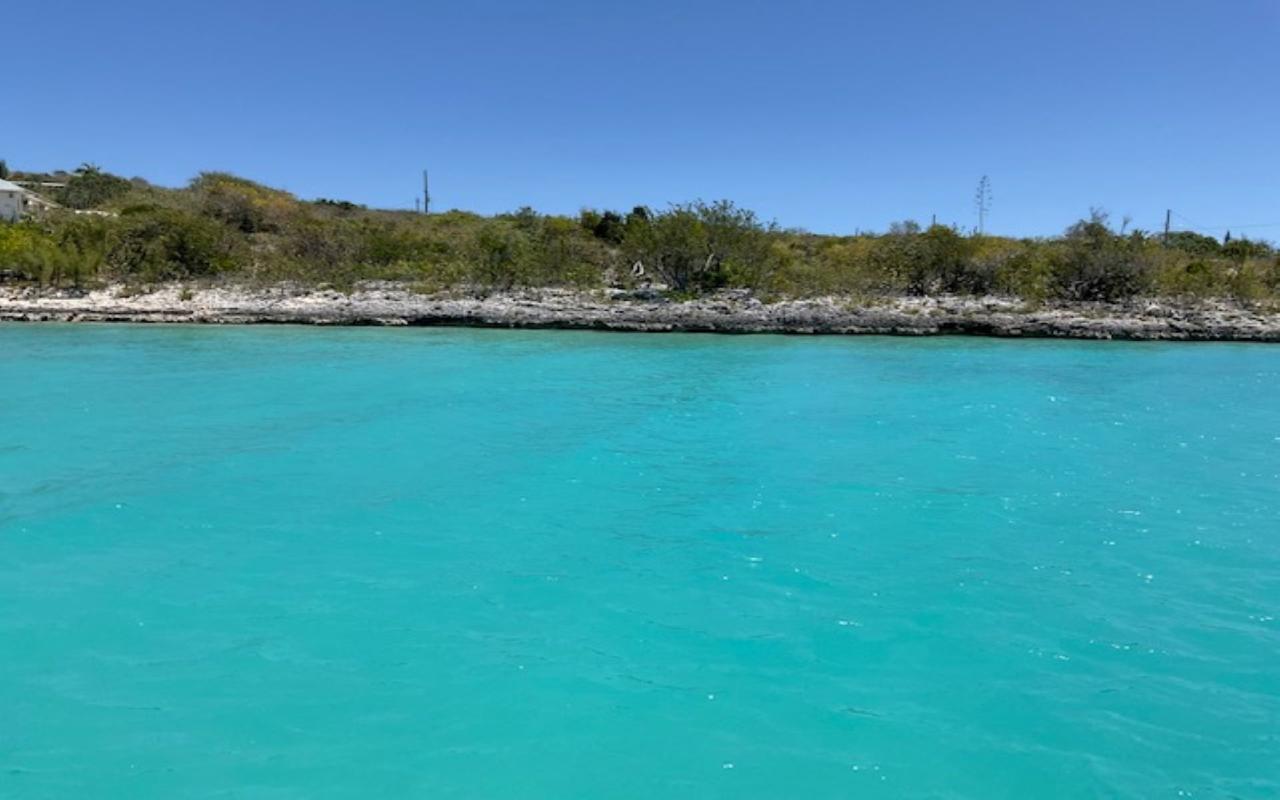 /listing-lots-acreage-in-indian-hole-point-42384.html from Coldwell Banker Bahamas Real Estate