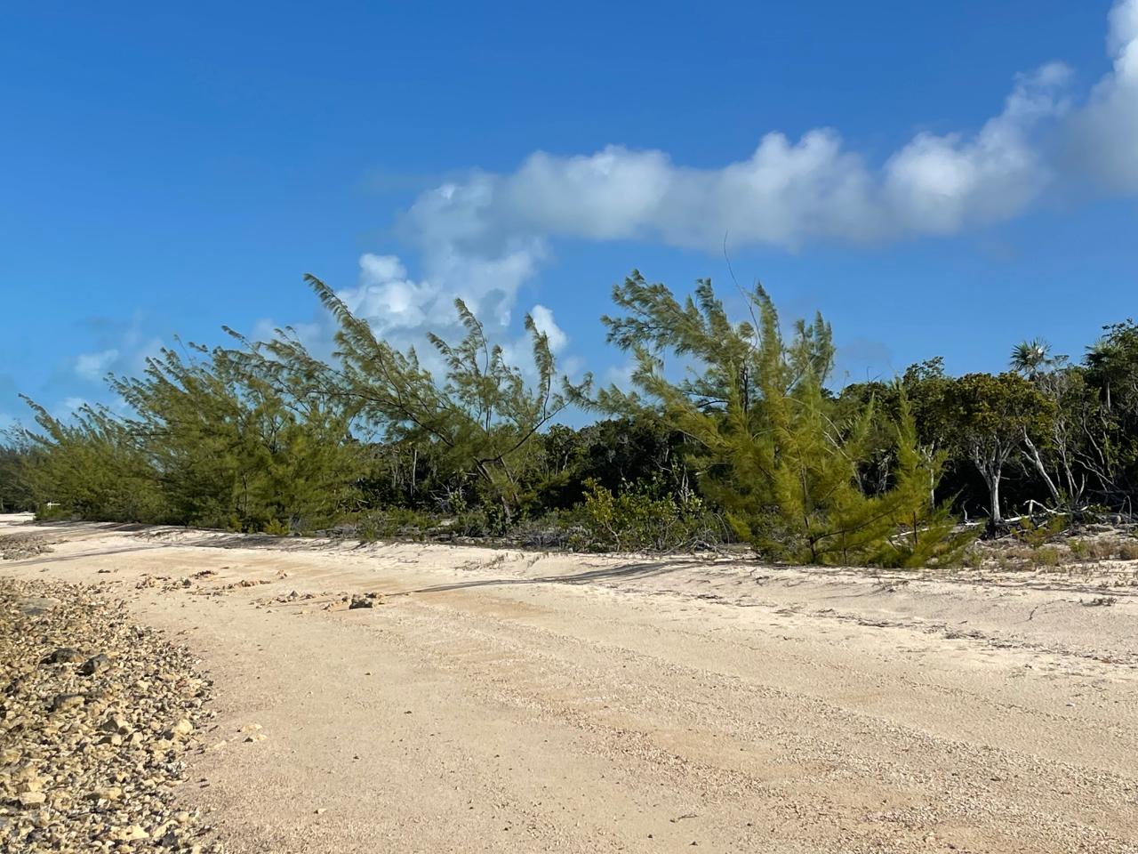 /listing-lots-acreage-in-wemyss-57857.html from Coldwell Banker Bahamas Real Estate