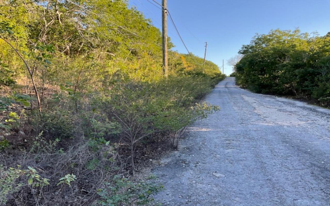 /listing-lots-acreage-in-stella-maris-43150.html from Coldwell Banker Bahamas Real Estate