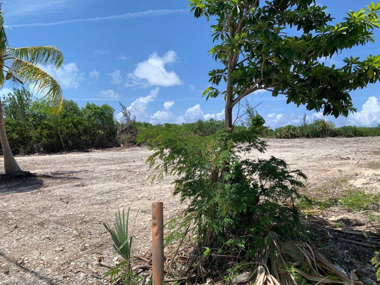 /listing-lots-acreage-in-simms-43097.html from Coldwell Banker Bahamas Real Estate