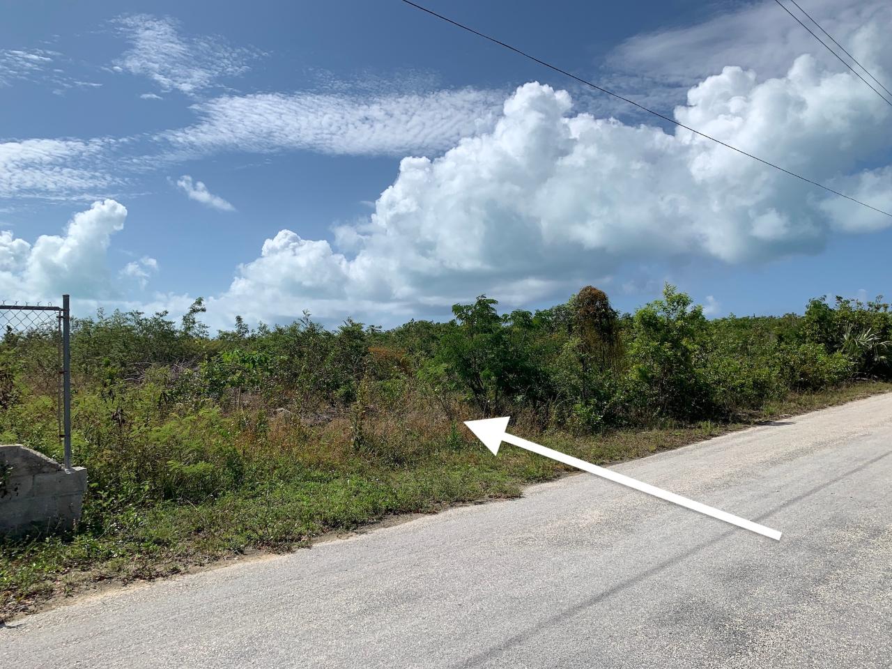 /listing-lots-acreage-in-hamiltons-43123.html from Coldwell Banker Bahamas Real Estate