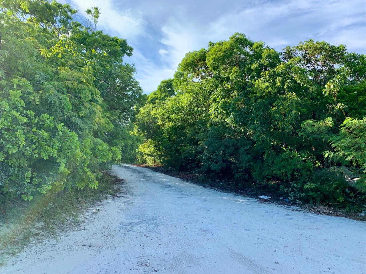 /listing-lots-acreage-in-bahama-sound-43286.html from Coldwell Banker Bahamas Real Estate