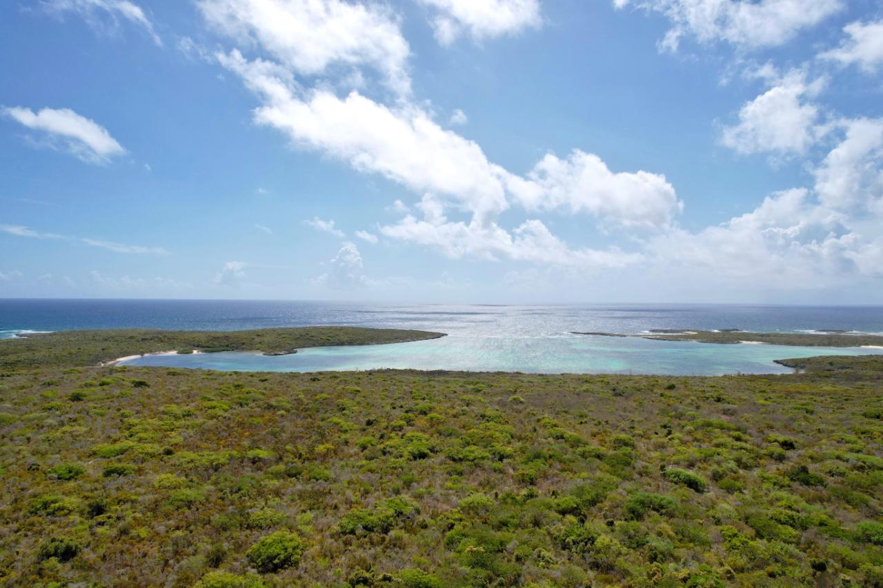 /listing-lots-acreage-in-moritmers-58447.html from Coldwell Banker Bahamas Real Estate