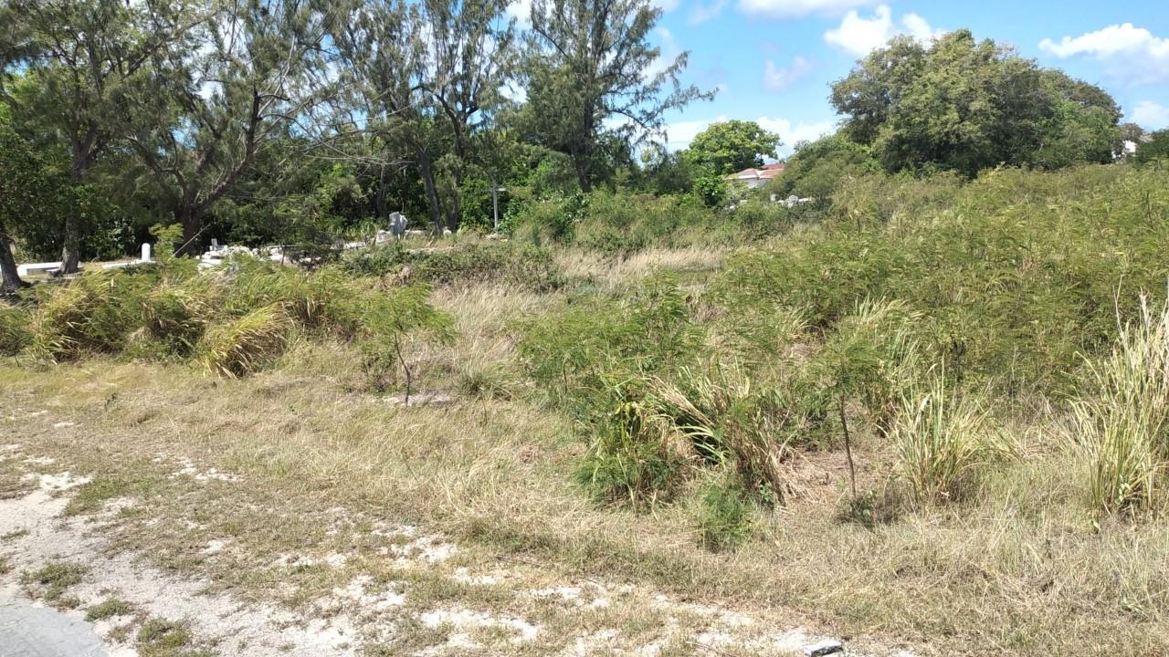 /listing-lots-acreage-in-inagua-66853.html from Coldwell Banker Bahamas Real Estate