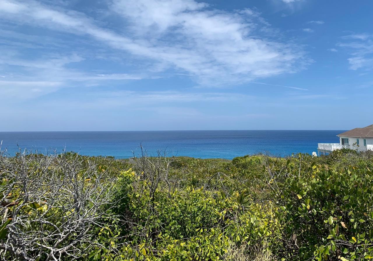 /listing-lots-acreage-in-buckleys-67851.html from Coldwell Banker Bahamas Real Estate