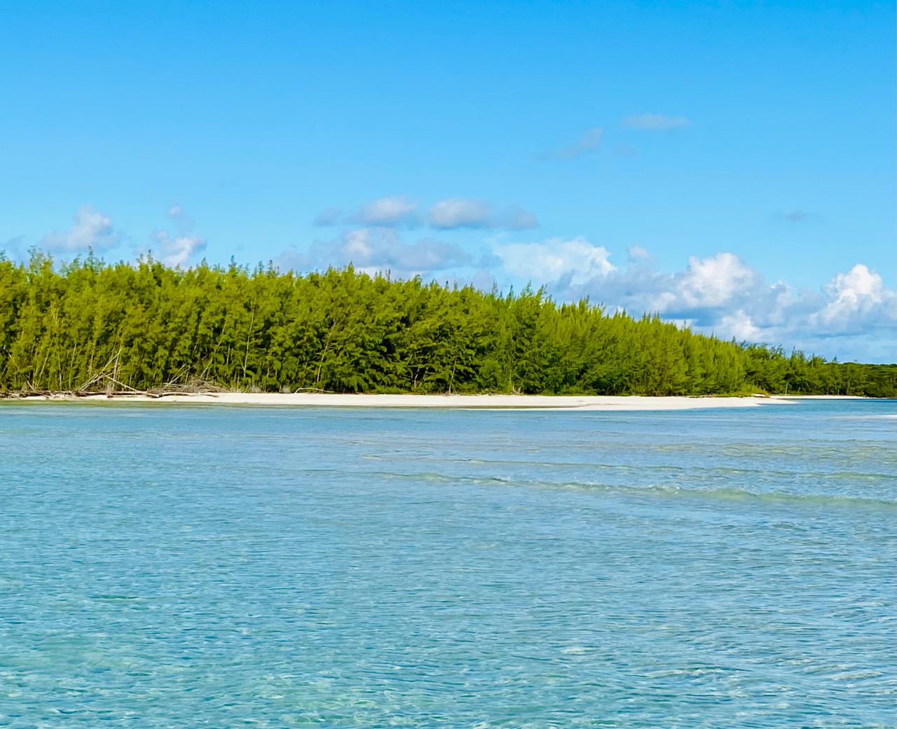 /listing-lots-acreage-in-harbour-island-44002.html from Coldwell Banker Bahamas Real Estate