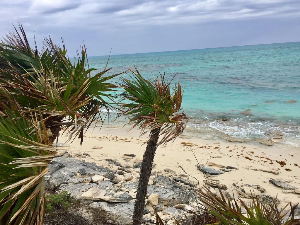 /listing-lots-acreage-in-crooked-island-44046.html from Coldwell Banker Bahamas Real Estate