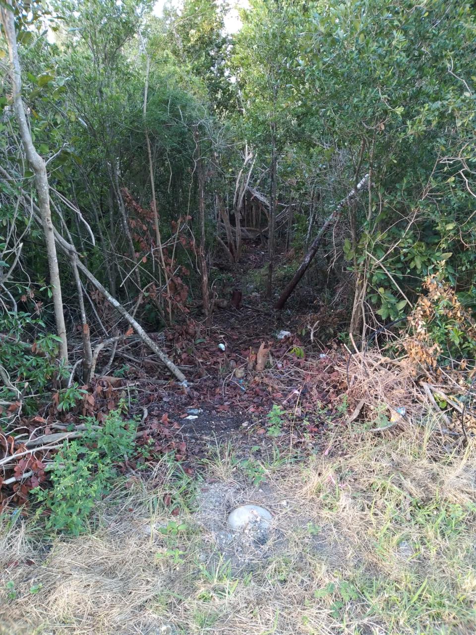 /listing-lots-acreage-in-fresh-creek-44383.html from Coldwell Banker Bahamas Real Estate