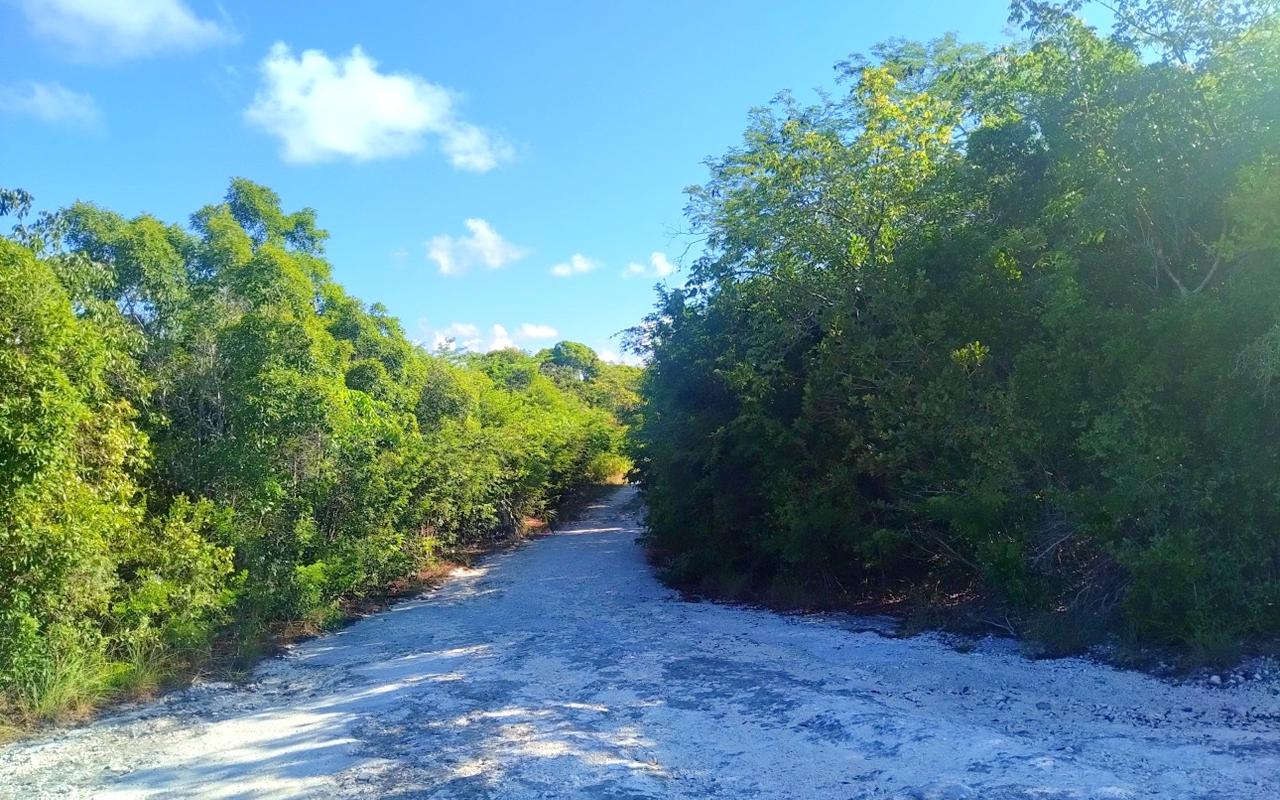 /listing-lots-acreage-in-bahama-sound-45154.html from Coldwell Banker Bahamas Real Estate