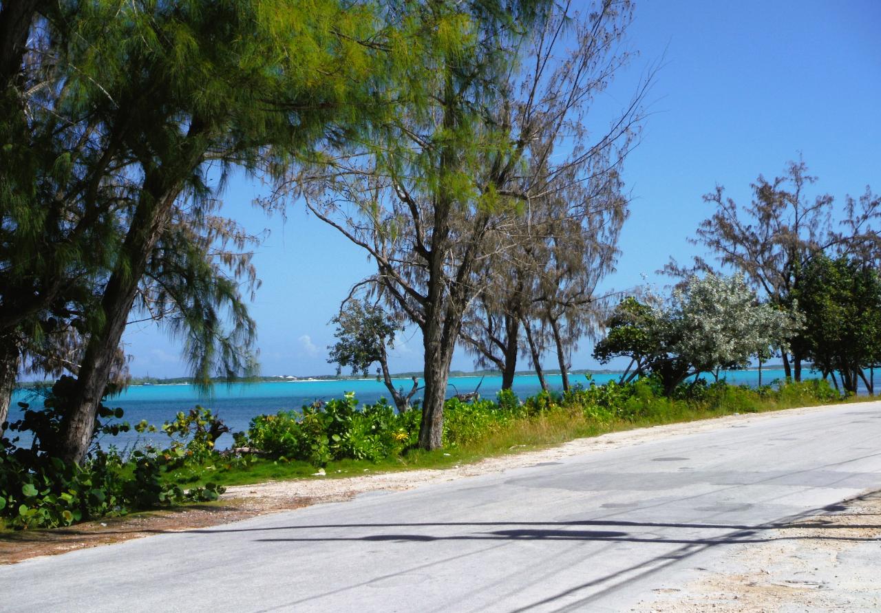 /listing-lots-acreage-in-george-town-44567.html from Coldwell Banker Bahamas Real Estate