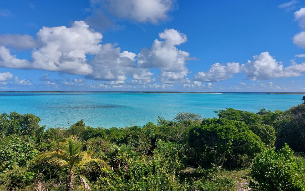 /listing-lots-acreage-in-clarence-town-44741.html from Coldwell Banker Bahamas Real Estate