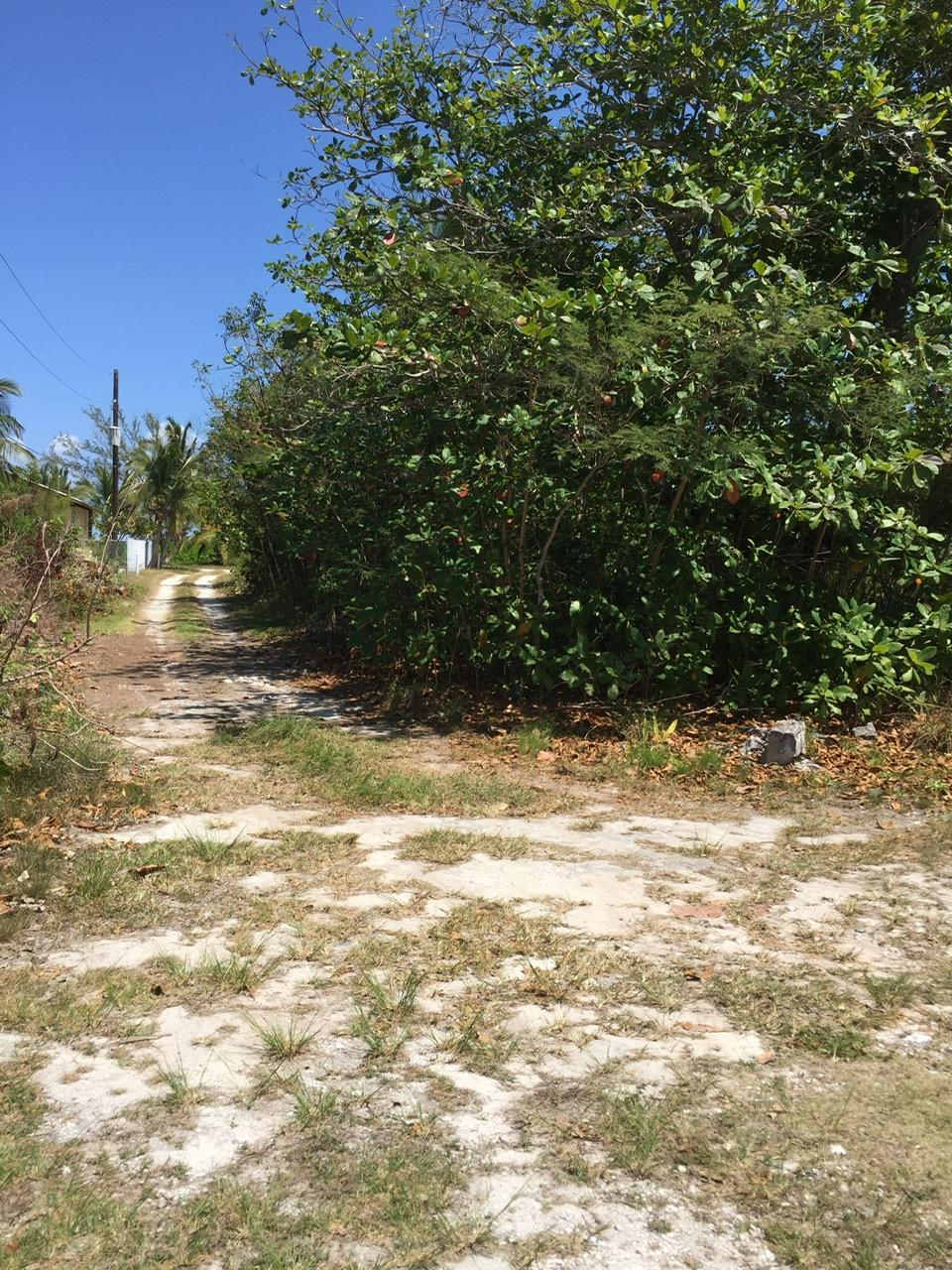 /listing-lots-acreage-in-congo-town-67370.html from Coldwell Banker Bahamas Real Estate