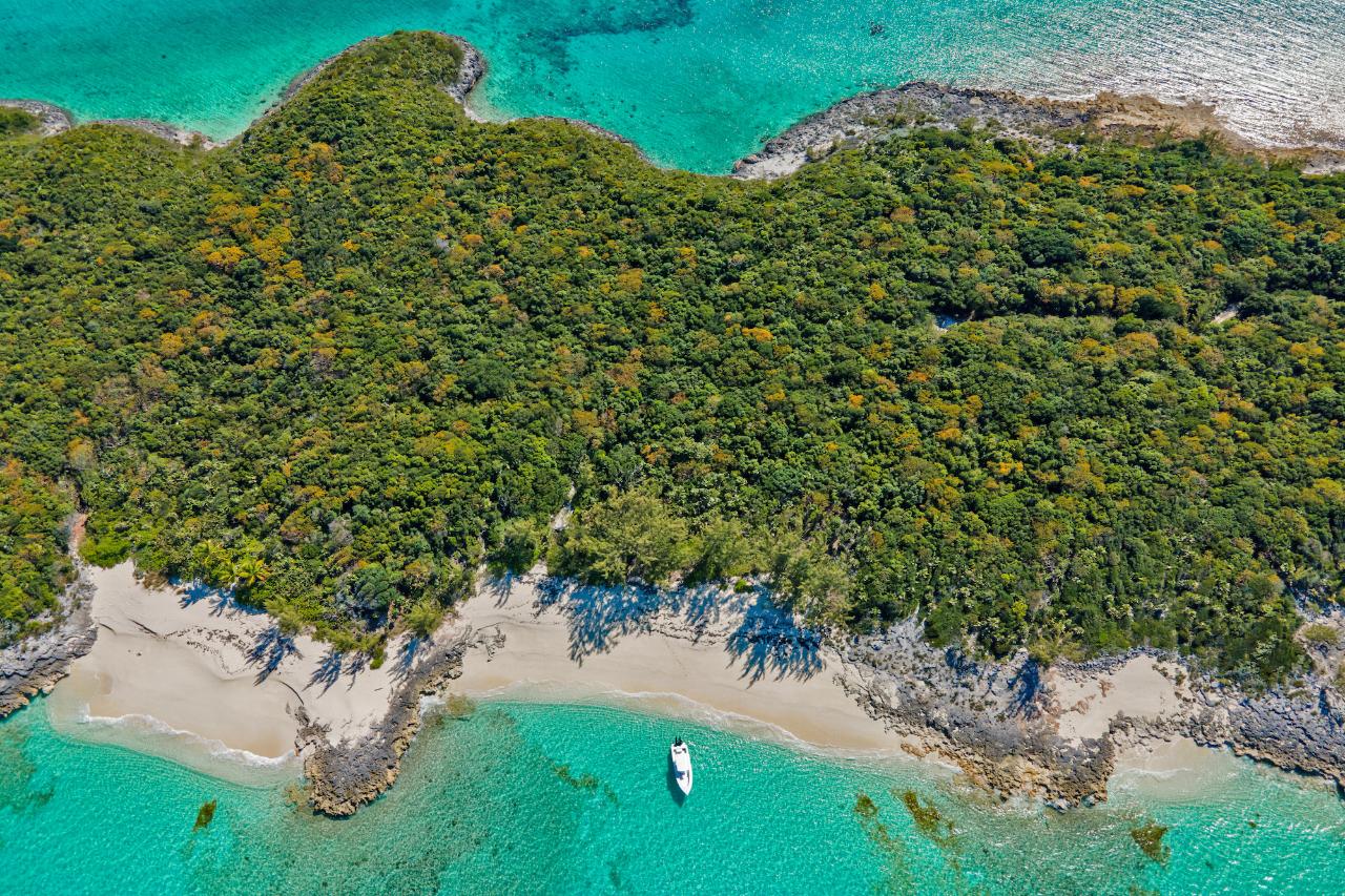 /listing-lots-acreage-in-rose-island-45268.html from Coldwell Banker Bahamas Real Estate