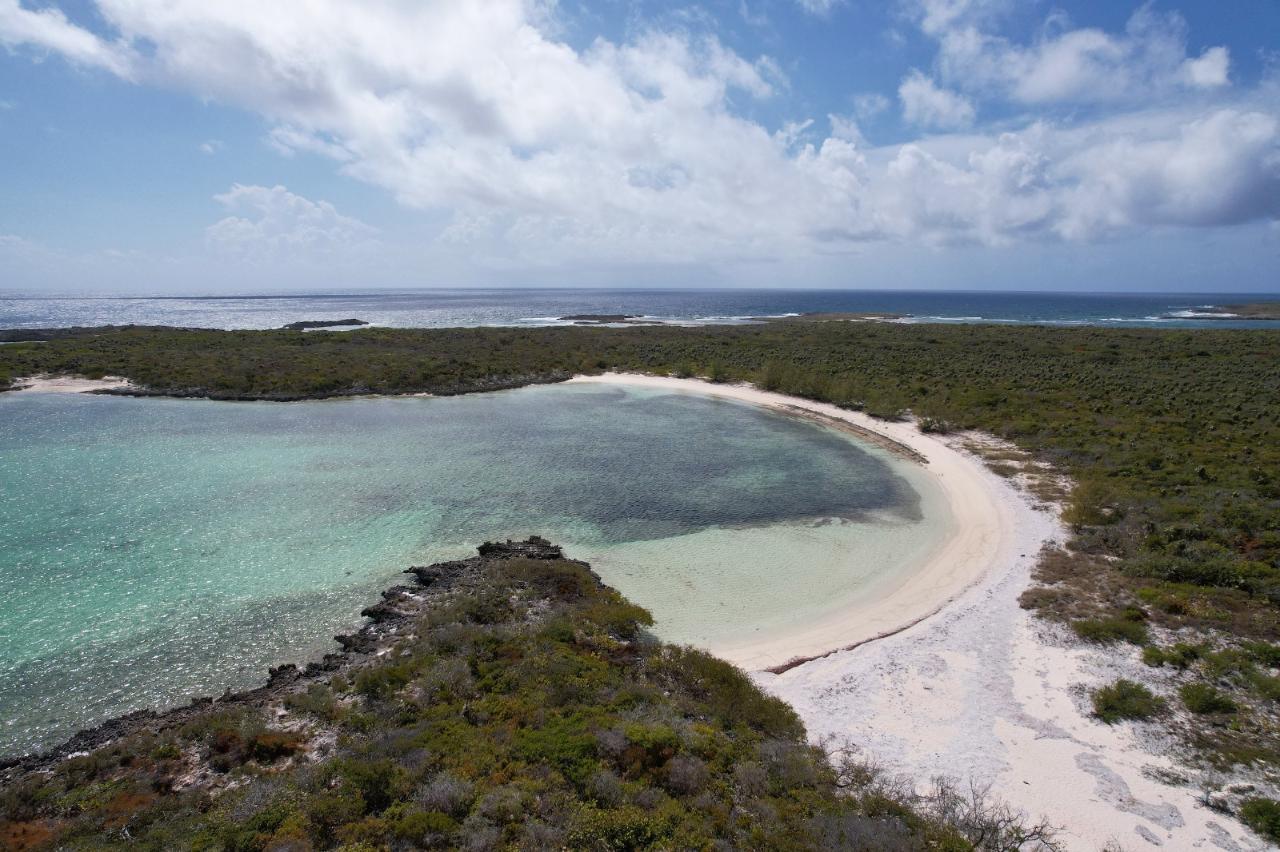 /listing-lots-acreage-in-moritmers-51553.html from Coldwell Banker Bahamas Real Estate