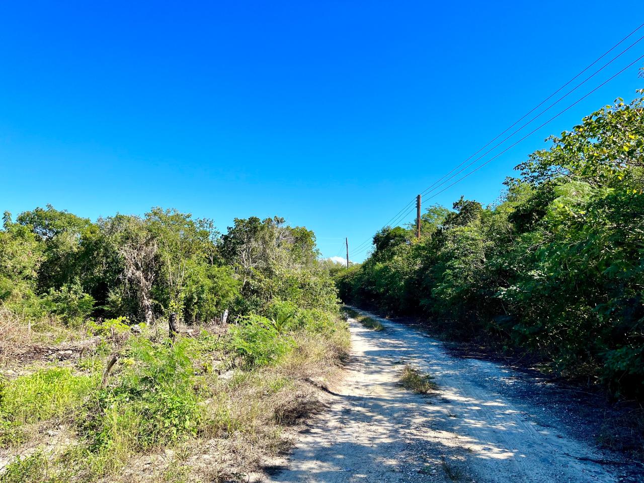 /listing-lots-acreage-in-bahama-sound-51263.html from Coldwell Banker Bahamas Real Estate
