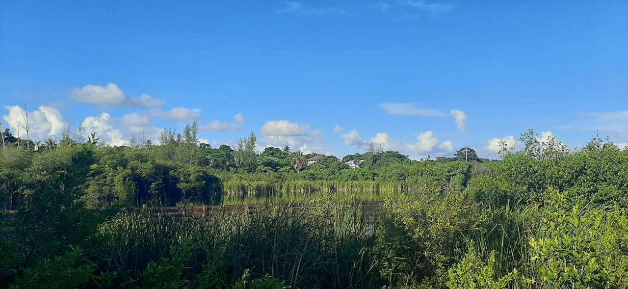 /listing-lots-acreage-in-arthurs-town-45594.html from Coldwell Banker Bahamas Real Estate