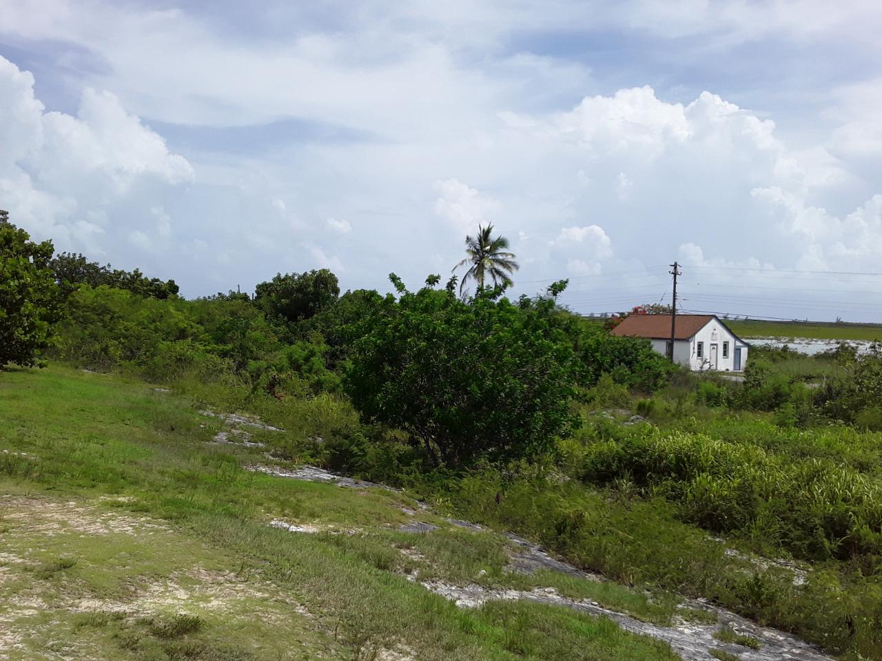/listing-lots-acreage-in-arthurs-town-45589.html from Coldwell Banker Bahamas Real Estate