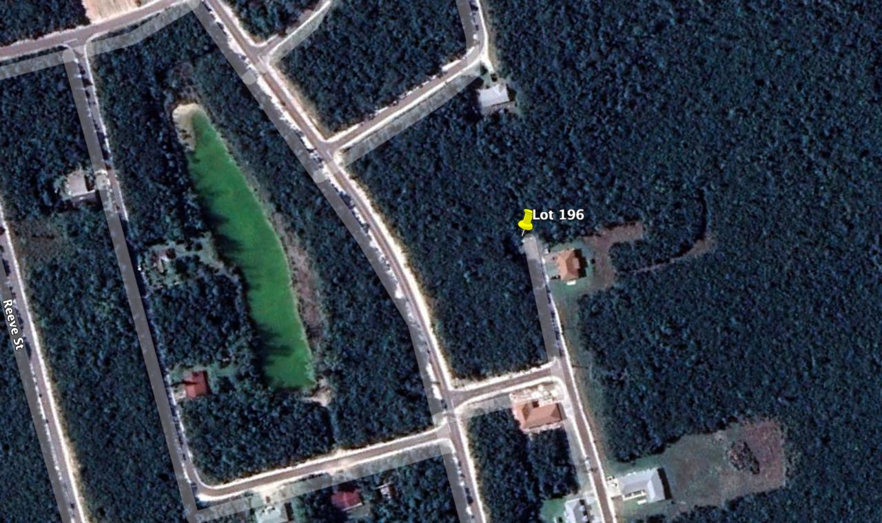 /listing-lots-acreage-in-andros-beach-colony-45692.html from Coldwell Banker Bahamas Real Estate