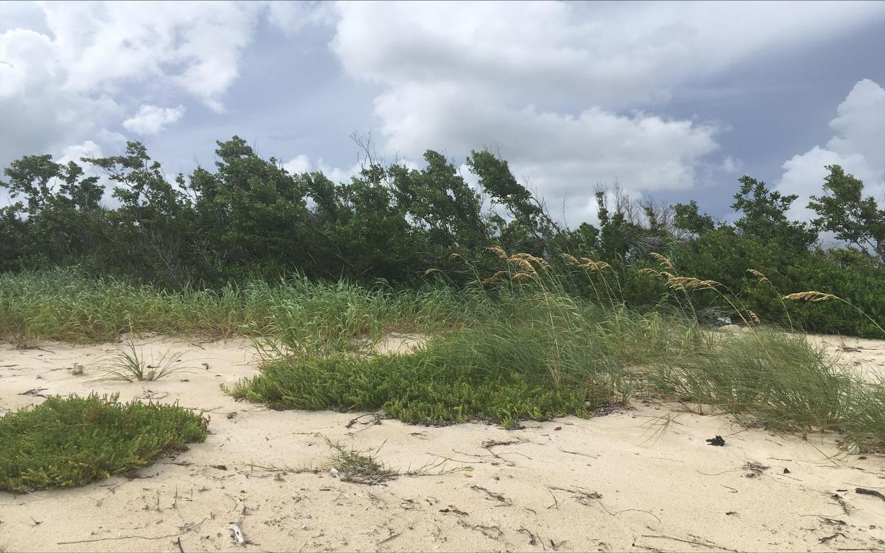 /listing-lots-acreage-in-columbus-landings-45742.html from Coldwell Banker Bahamas Real Estate