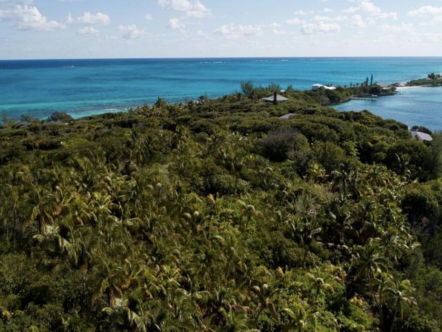 /listing-lots-acreage-in-man-o-war-cay-66867.html from Coldwell Banker Bahamas Real Estate