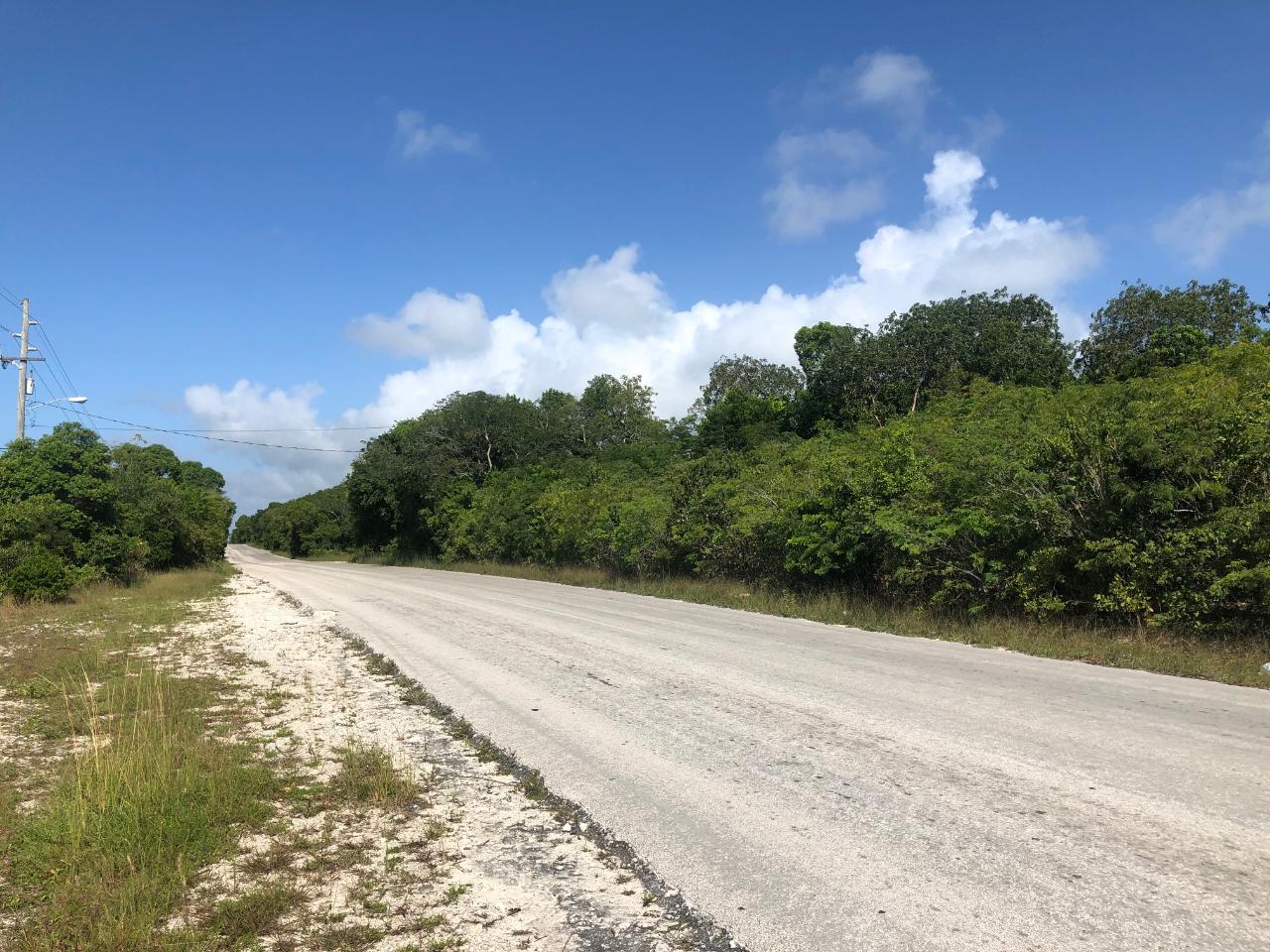 /listing-lots-acreage-in-palmetto-point-66731.html from Coldwell Banker Bahamas Real Estate