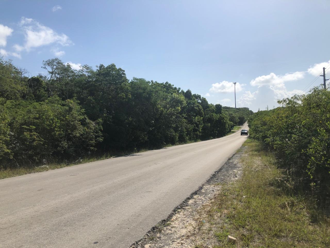 /listing-lots-acreage-in-palmetto-point-66737.html from Coldwell Banker Bahamas Real Estate