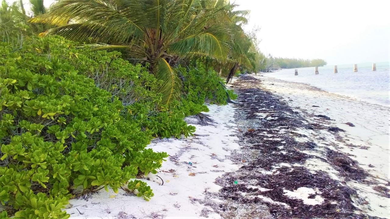 /listing-lots-acreage-in-mangrove-cay-46090.html from Coldwell Banker Bahamas Real Estate