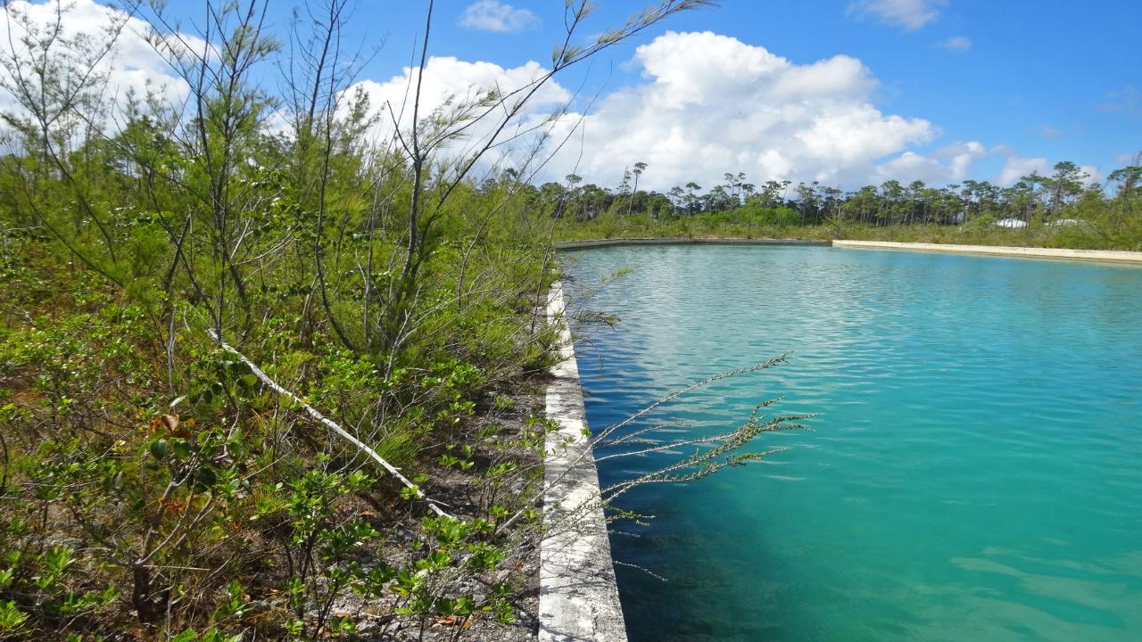 /listing-lots-acreage-in-sentinel-bay-subdivision-59911.html from Coldwell Banker Bahamas Real Estate