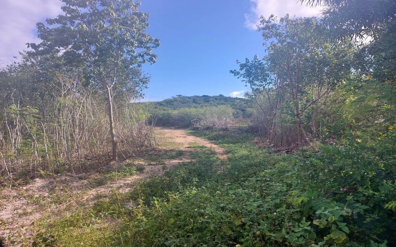 /listing-lots-acreage-in-mangrove-bush-59908.html from Coldwell Banker Bahamas Real Estate