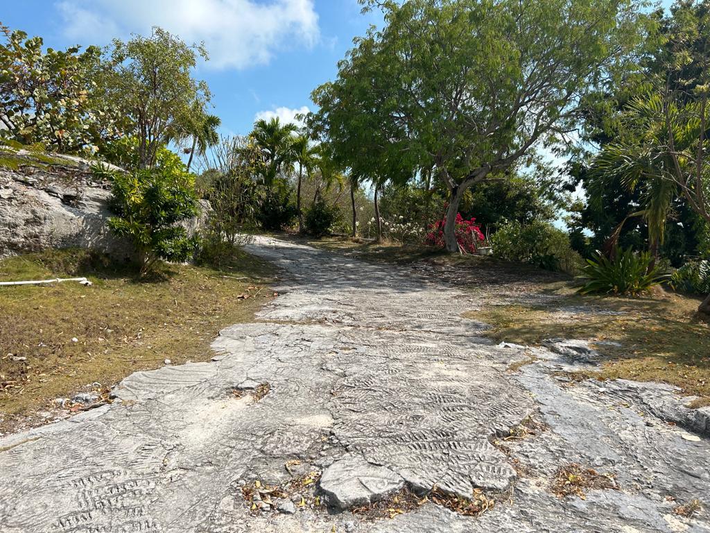 /listing-single-family-home-in-flamingo-bay-59488.html from Coldwell Banker Bahamas Real Estate