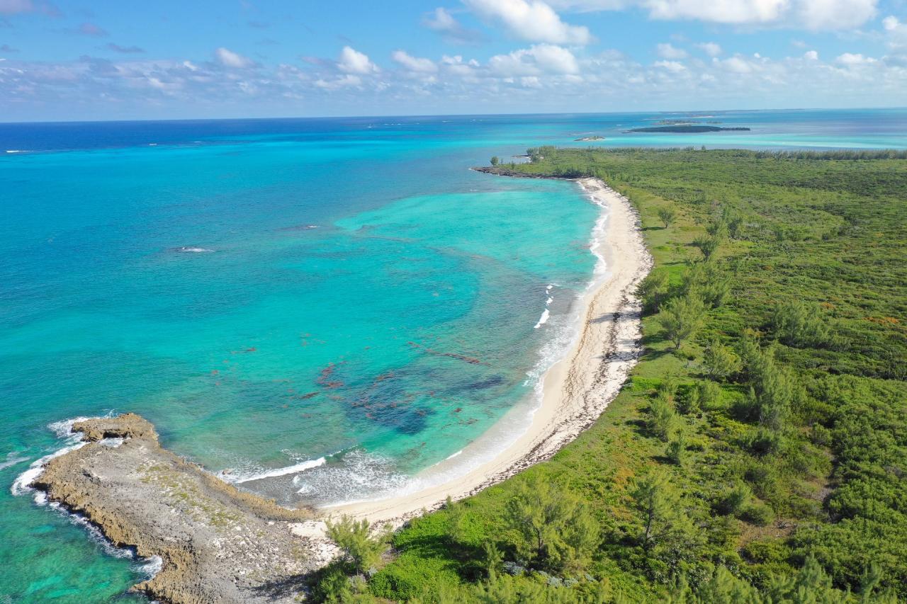 /listing-private-island-in-other-abaco-52350.html from Coldwell Banker Bahamas Real Estate