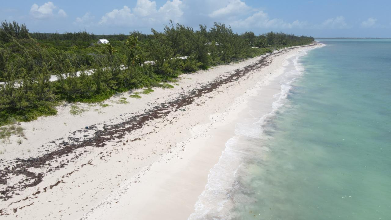 /listing-lots-acreage-in-bahama-palm-shores-68288.html from Coldwell Banker Bahamas Real Estate