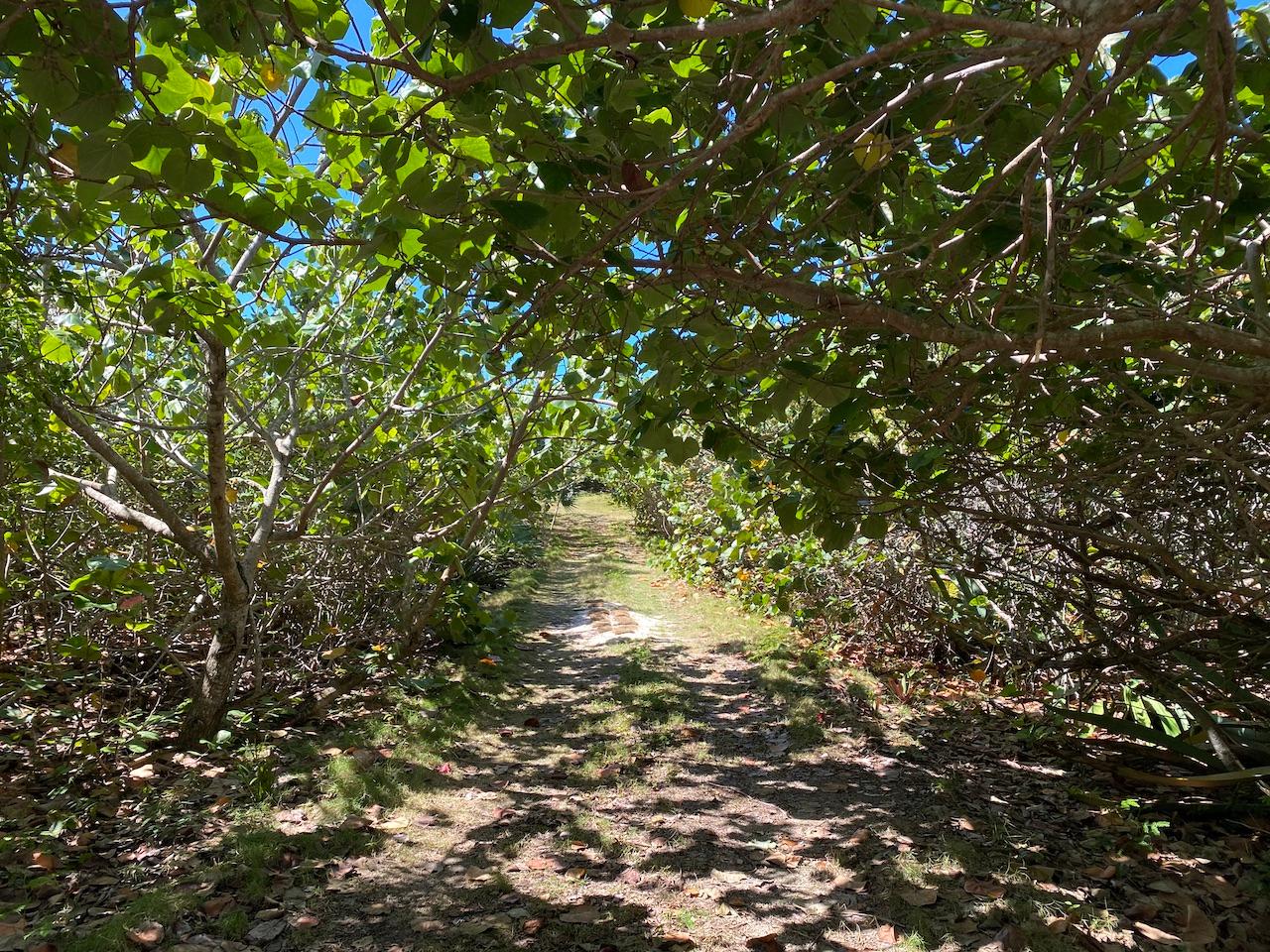 /listing-lots-acreage-in-gregory-town-66809.html from Coldwell Banker Bahamas Real Estate