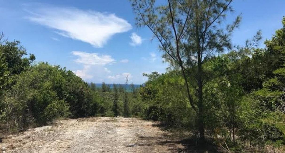 /listing-lots-acreage-in-bahama-sound-68083.html from Coldwell Banker Bahamas Real Estate