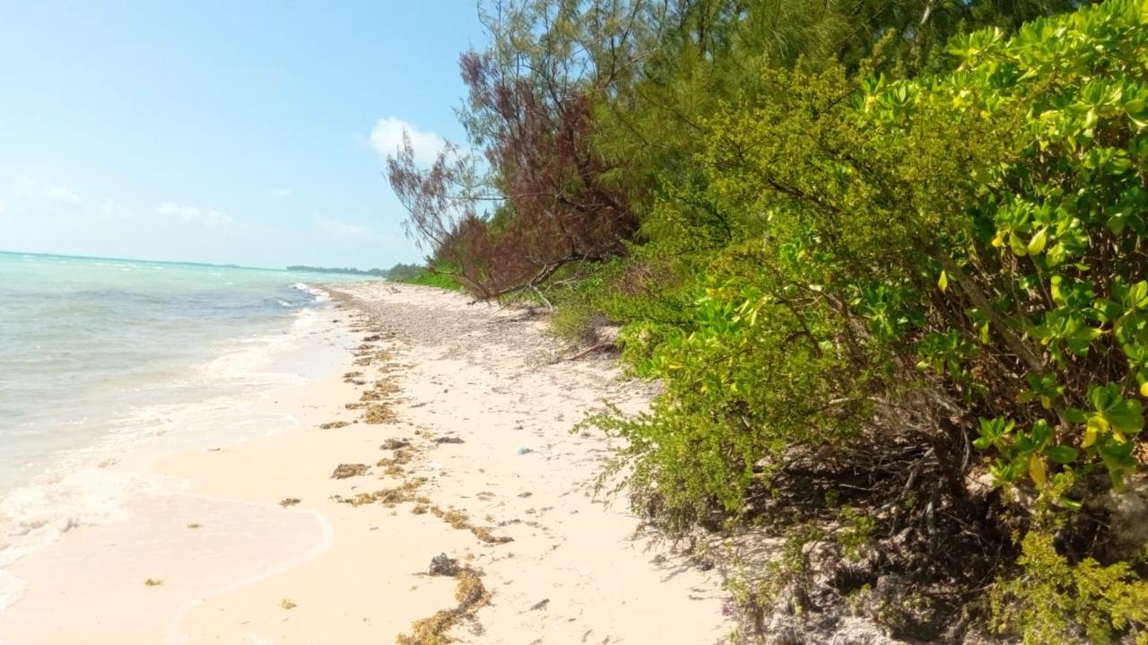 /listing-lots-acreage-in-congo-town-46826.html from Coldwell Banker Bahamas Real Estate