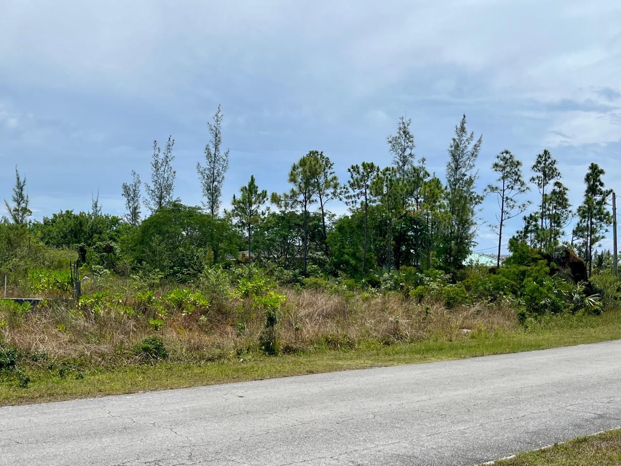 /listing-lots-acreage-in-bahamia-68337.html from Coldwell Banker Bahamas Real Estate