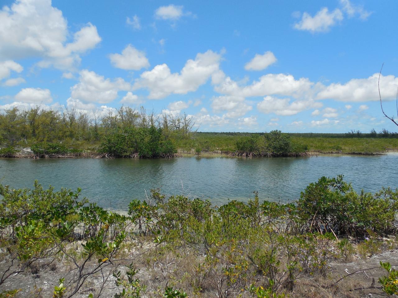 /listing-lots-acreage-in-casuarina-point-59779.html from Coldwell Banker Bahamas Real Estate
