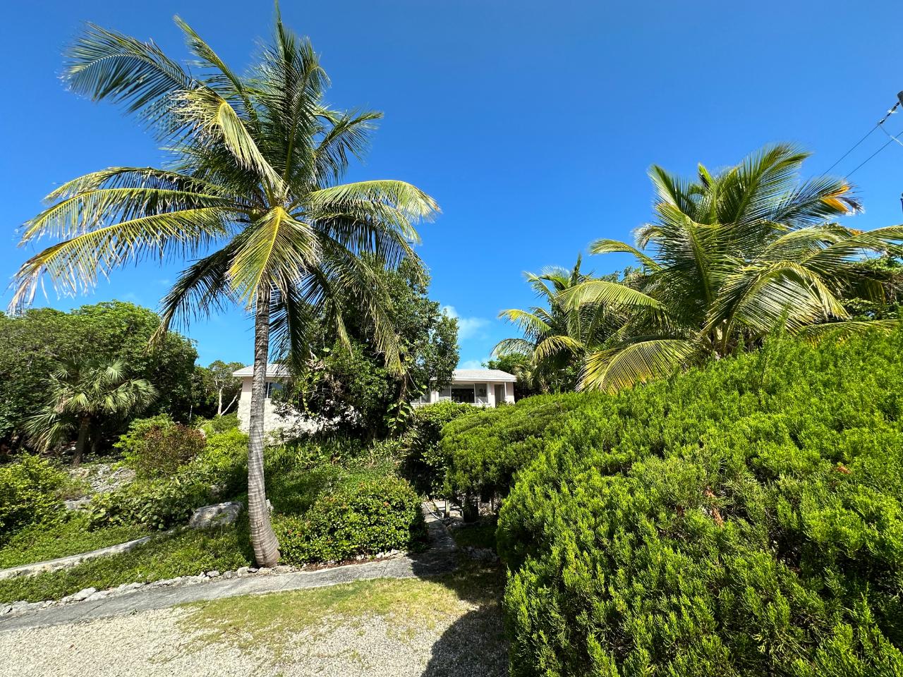 /listing-farm-ranch-in-current-47177.html from Coldwell Banker Bahamas Real Estate