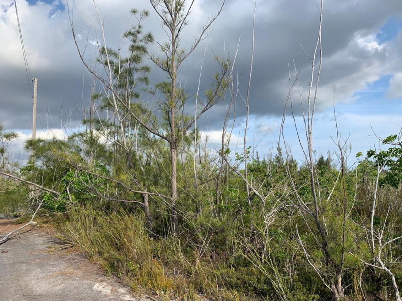 /listing-lots-acreage-in-dover-sound-47128.html from Coldwell Banker Bahamas Real Estate