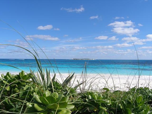 /listing-lots-acreage-in-double-bay-67664.html from Coldwell Banker Bahamas Real Estate