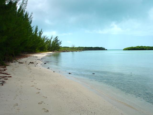 /listing-private-island-in-bunches-55635.html from Coldwell Banker Bahamas Real Estate