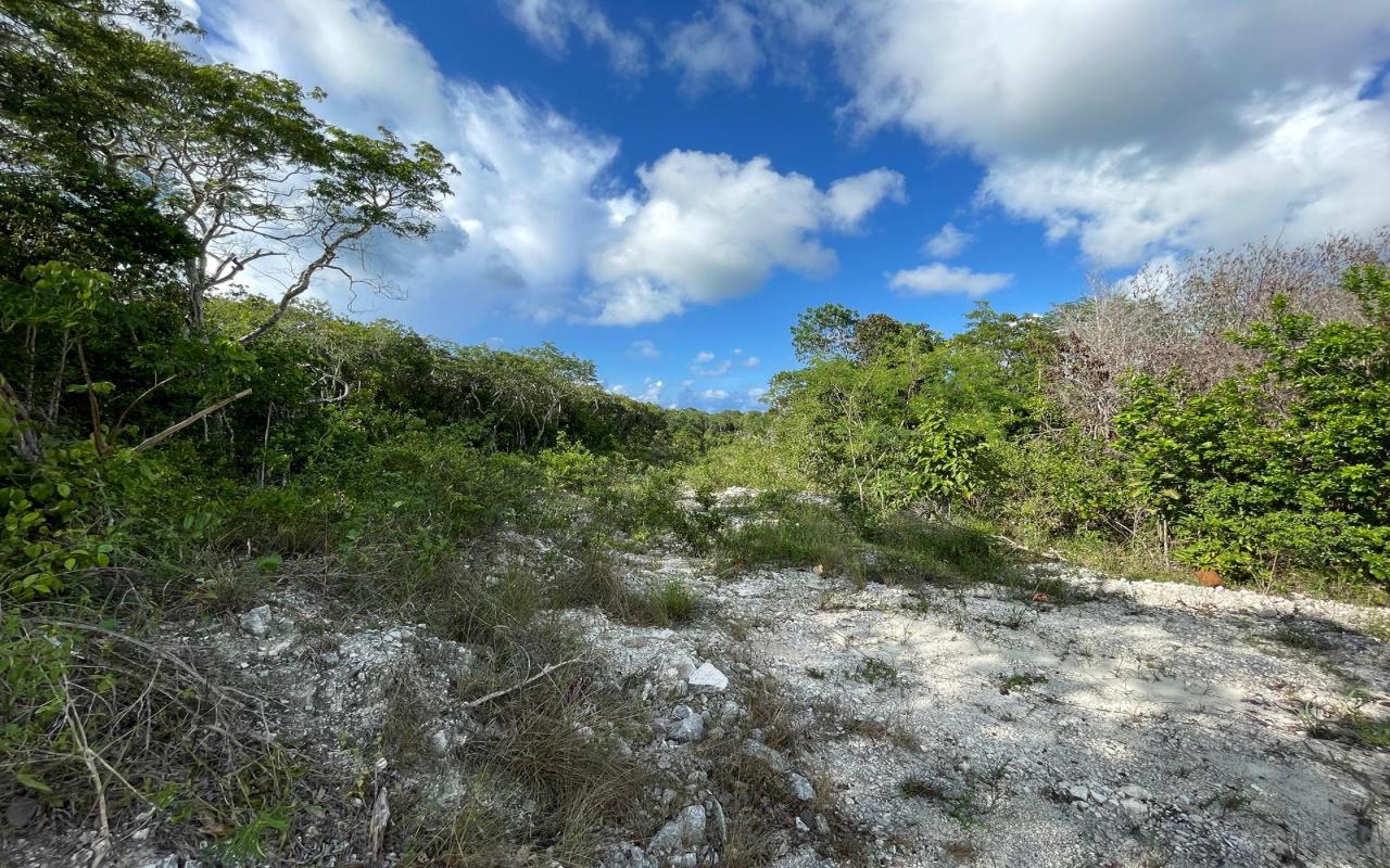 /listing-lots-acreage-in-other-cat-island-59803.html from Coldwell Banker Bahamas Real Estate