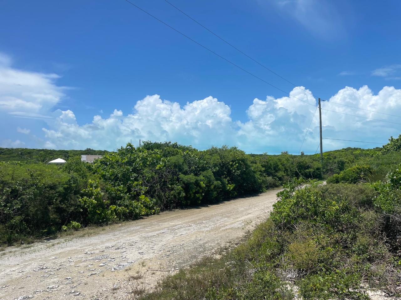 /listing-lots-acreage-in-stella-maris-58503.html from Coldwell Banker Bahamas Real Estate