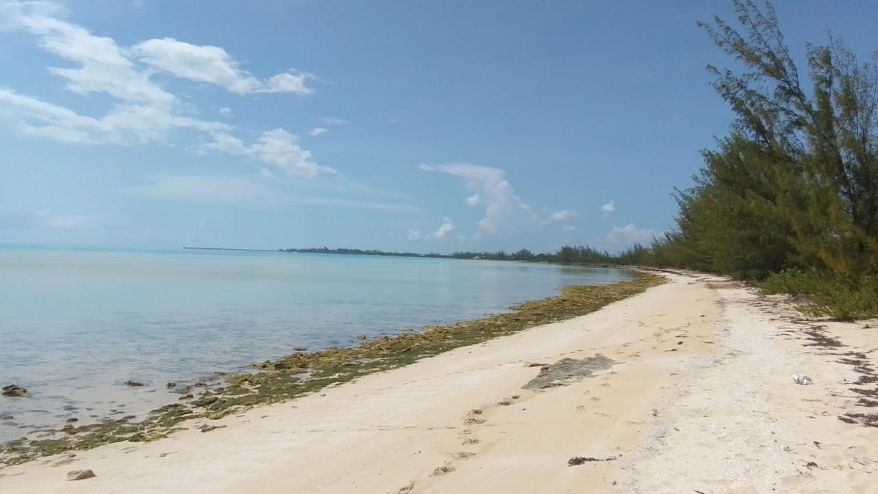 /listing-lots-acreage-in-alligator-bay-67930.html from Coldwell Banker Bahamas Real Estate