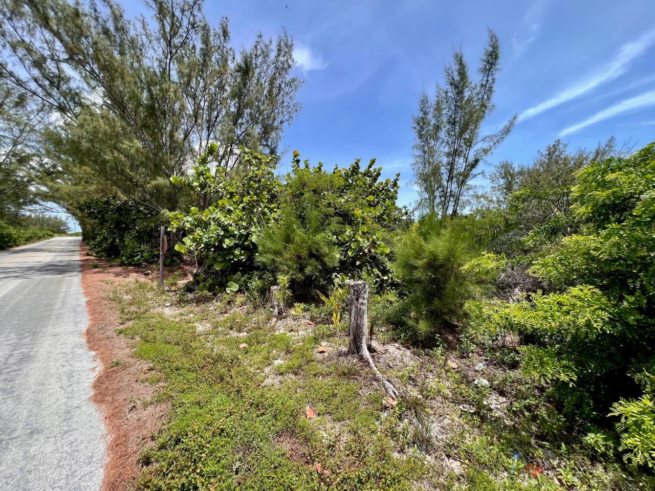 /listing-lots-acreage-in-rainbow-bay-59628.html from Coldwell Banker Bahamas Real Estate